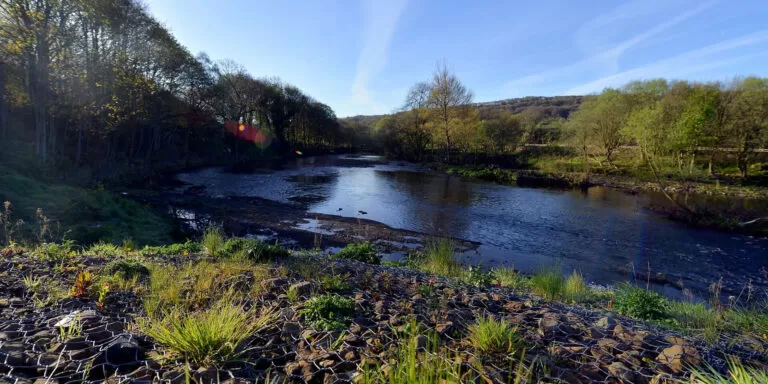 River with grassed area